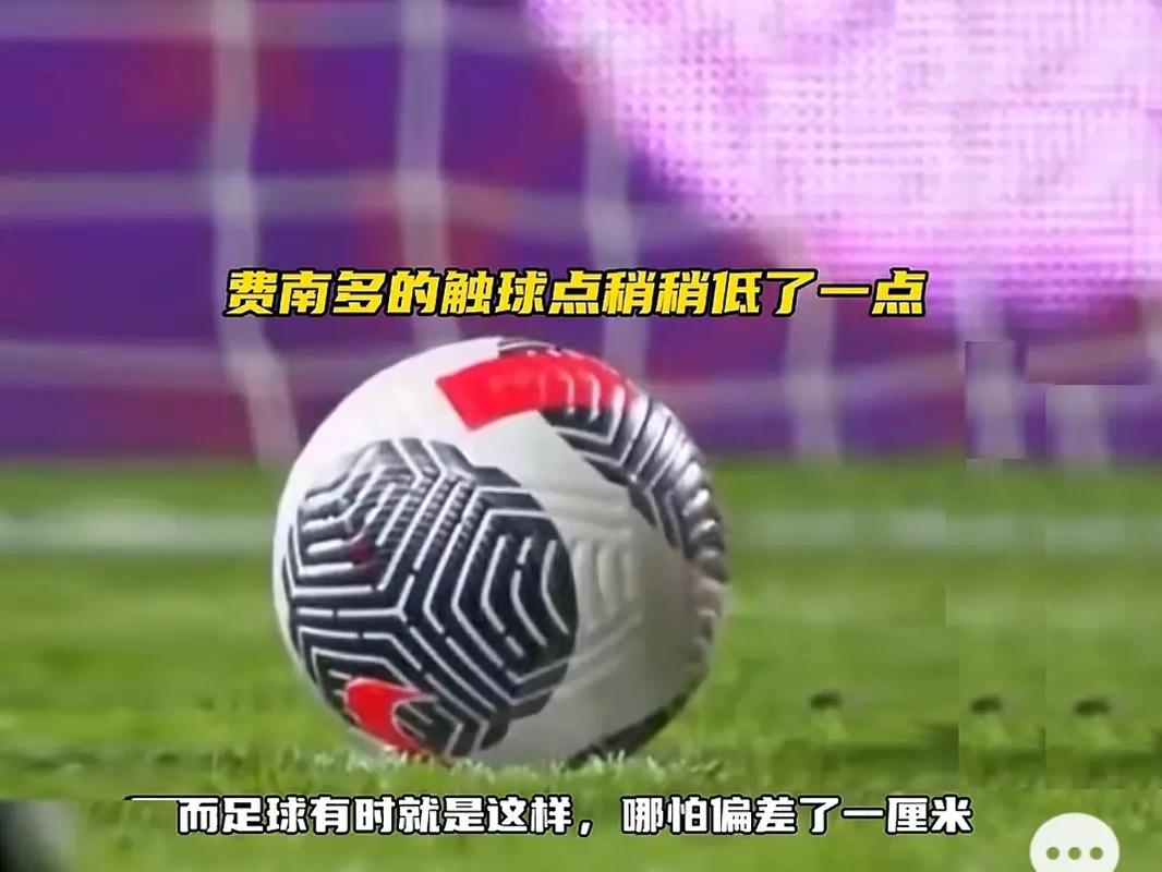 赛后反响与